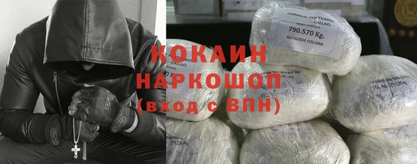 твердый Арсеньев