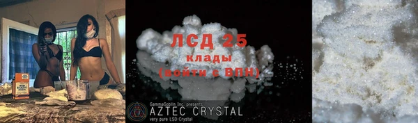 шишки Армянск