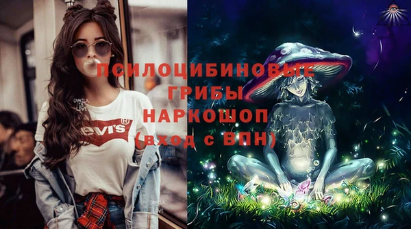 шишки Армянск