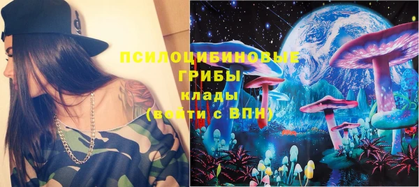 твердый Арсеньев