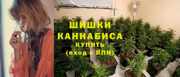 твердый Арсеньев