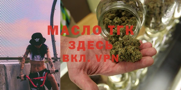 твердый Арсеньев