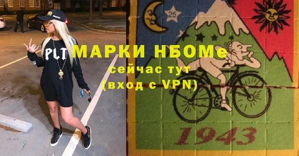 твердый Арсеньев
