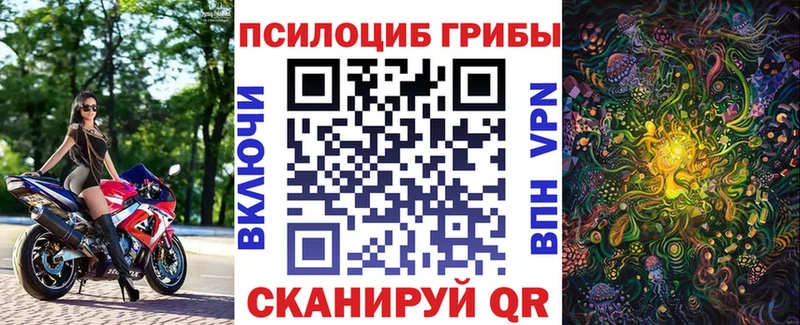 shop клад  Калачинск  Галлюциногенные грибы Cubensis  даркнет сайт 