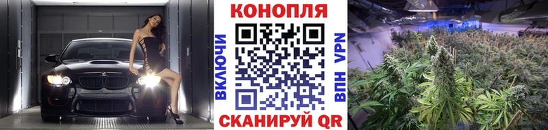 Марихуана Bruce Banner  Калачинск 